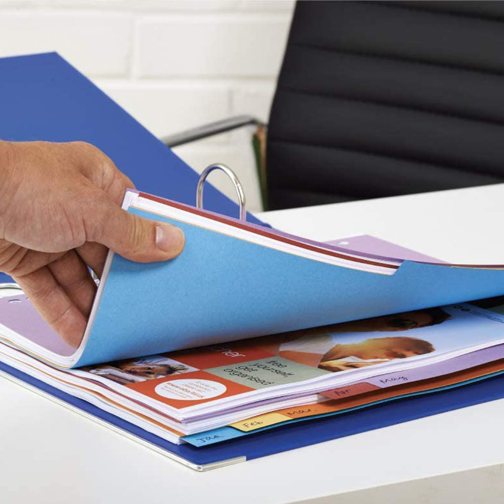 12枚入りA4インデックスディバイダー、11穴カラーソーター - Tab Divider A4 のレビューと価格